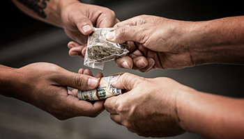 Drug Defense